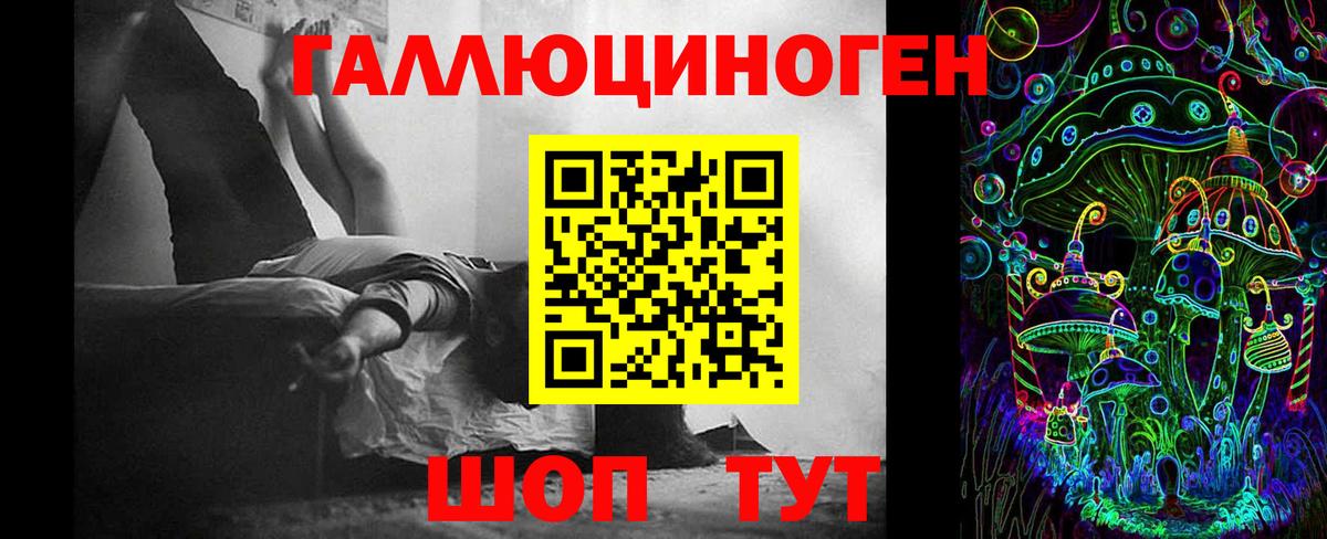 Галлюциногенные грибы Psilocybine cubensis Туапсе