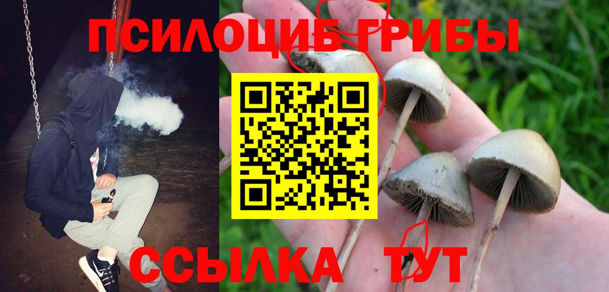 Псилоцибиновые грибы Psilocybine cubensis  Псилоцибиновые грибы Psilocybine cubensis  Вход с VPN  Туапсе 